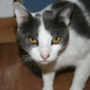 Meet your Posher, Nathaniel